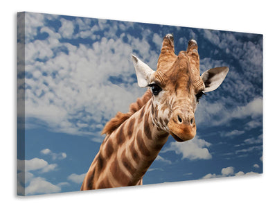 canvas-print-attention-giraffe