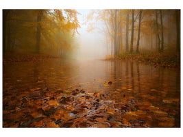 canvas-print-autumn-flooding-x