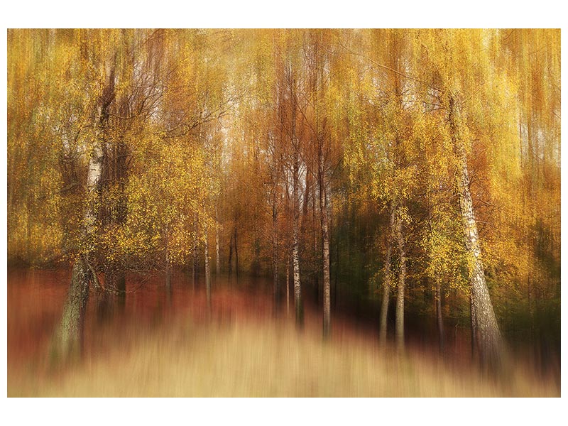 canvas-print-autumn-impression-xvl