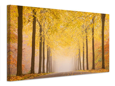 canvas-print-autumn-road-x