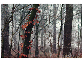 canvas-print-autumn-winter