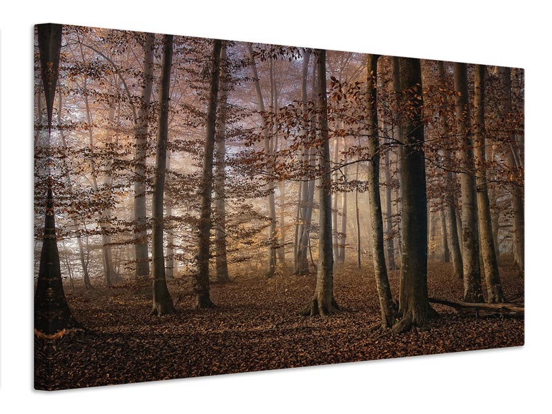 canvas-print-autumn-x