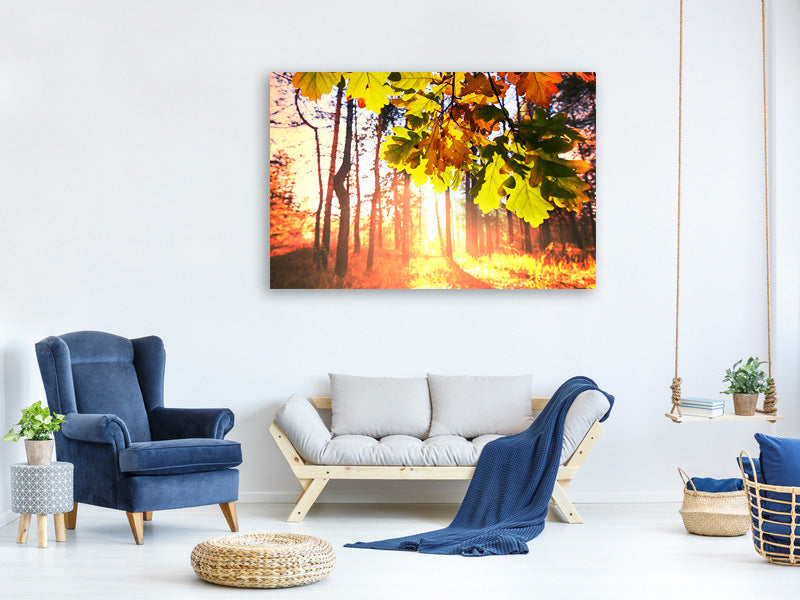 canvas-print-autumn