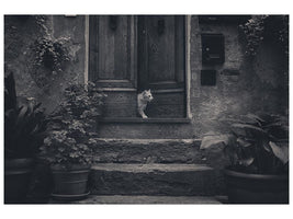 canvas-print-awaiting-guests-x