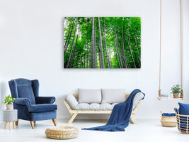 canvas-print-bamboo-forest