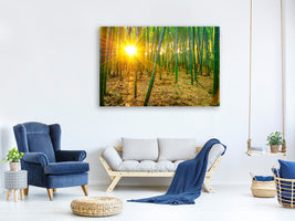 canvas-print-bamboos