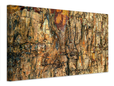 canvas-print-bark-x