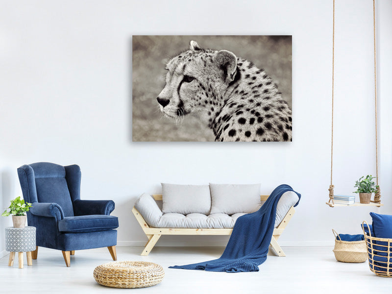 canvas-print-beautiful-cheetah