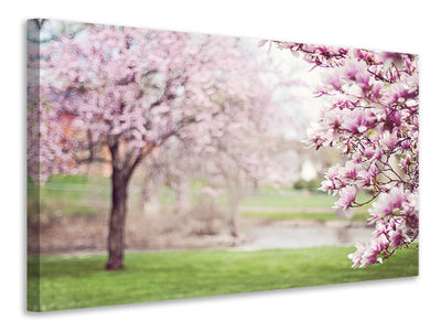 canvas-print-beautiful-magnolias