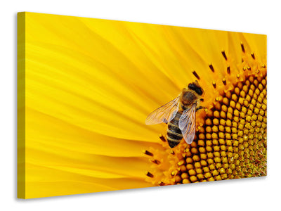 canvas-print-bee-on-the-sunflower