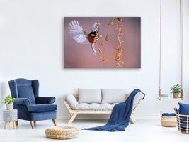 canvas-print-bird-in-action