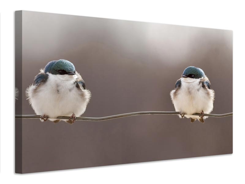 canvas-print-birds-on-a-wire-x