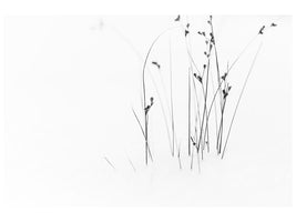 canvas-print-black-on-white