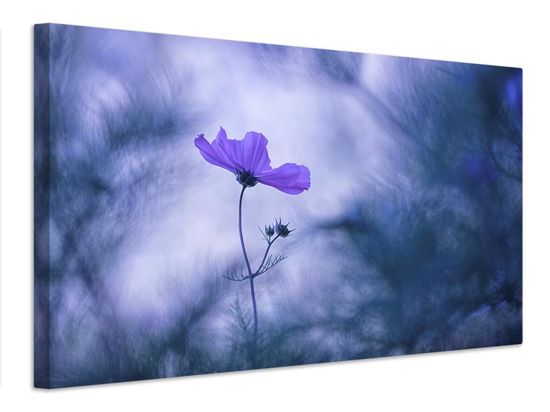 canvas-print-blue-dream-x