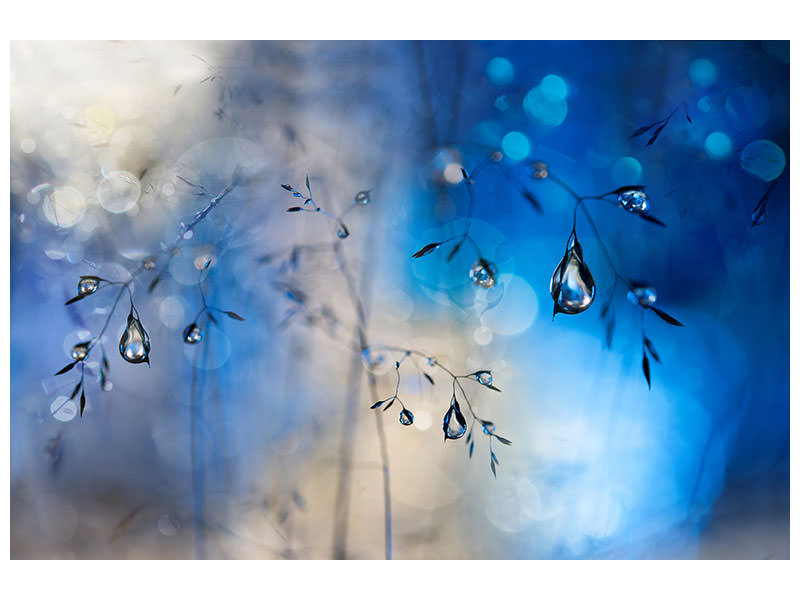 canvas-print-blue-rain