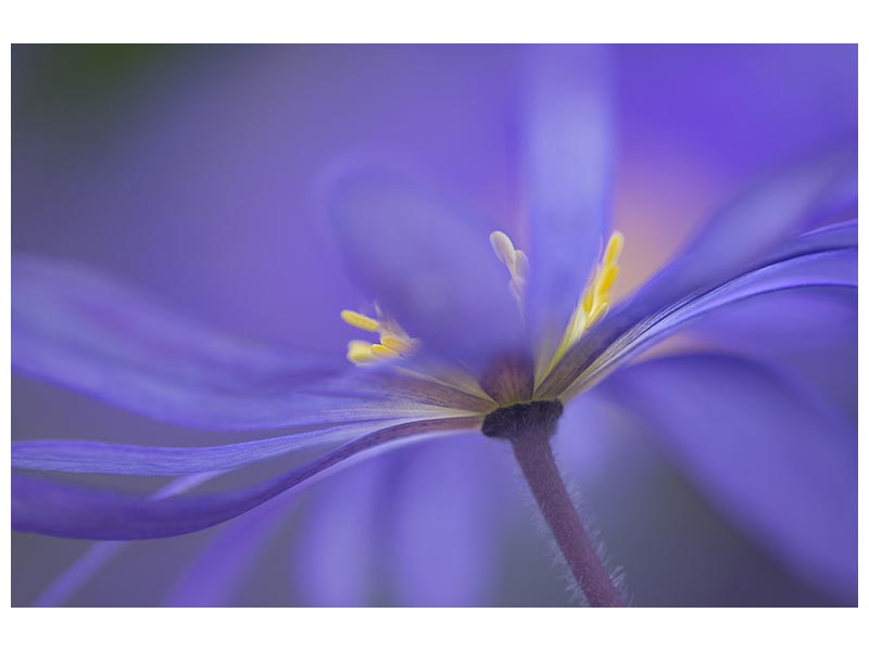 canvas-print-blue-waves-x