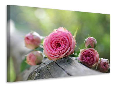 canvas-print-bush-roses