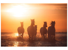 canvas-print-camargue-angels-x