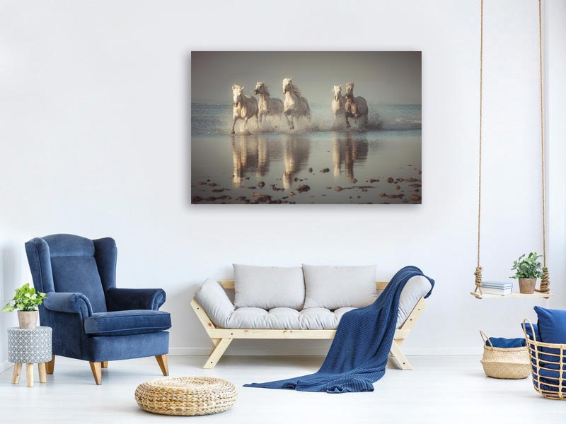 canvas-print-camargue-horses-x