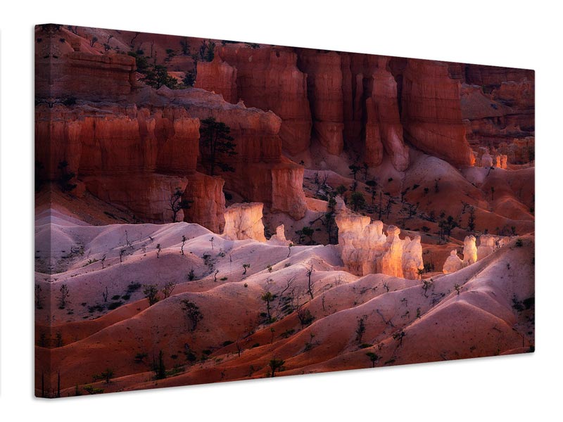 canvas-print-canyon-light-x