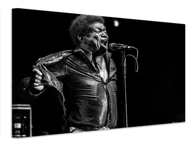 canvas-print-charles-bradley-in-memory-x