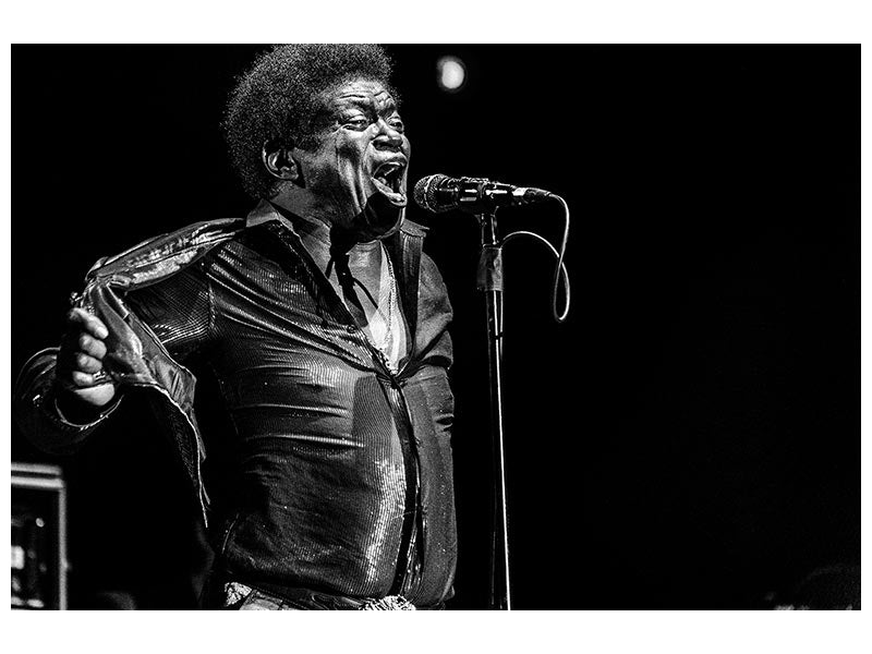 canvas-print-charles-bradley-in-memory-x