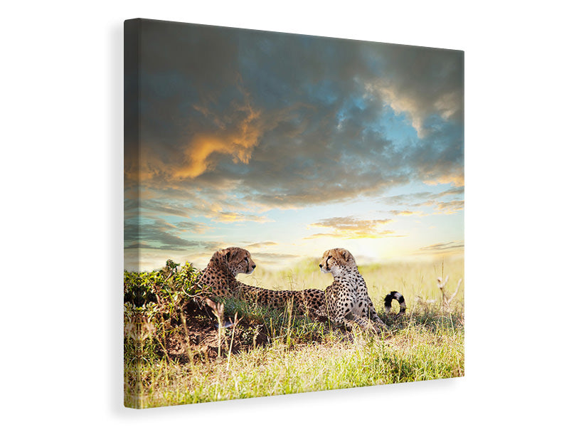 canvas-print-cheetahs