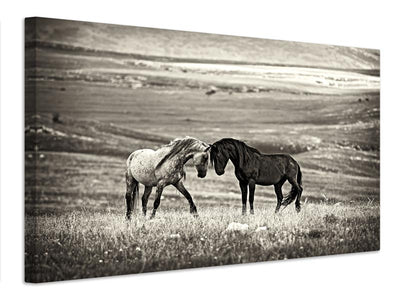 canvas-print-close-encounter-x