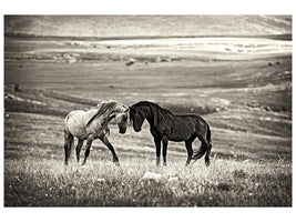 canvas-print-close-encounter-x