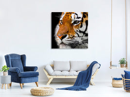 canvas-print-close-up-tiger-head