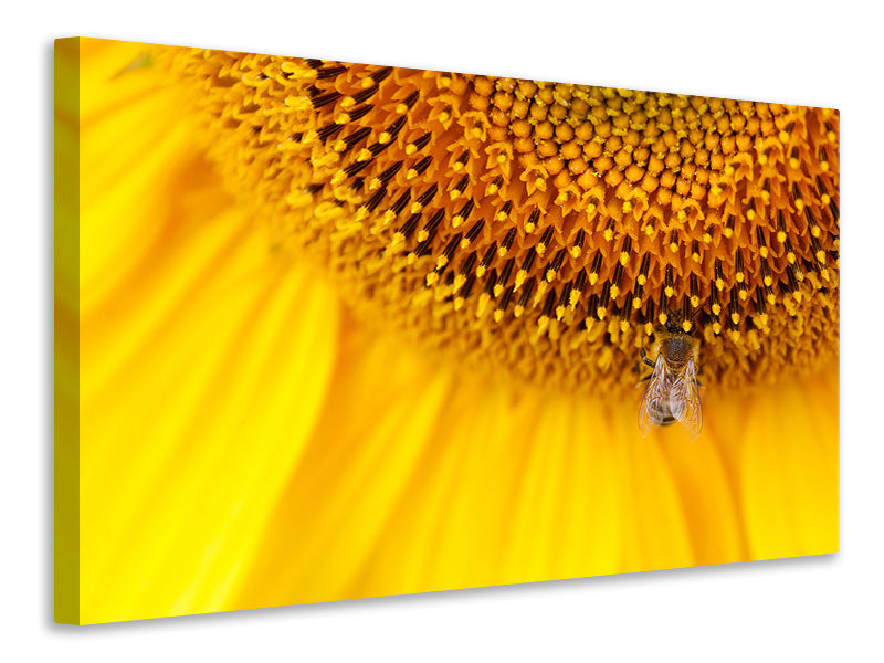 canvas-print-close-up-yellow-bud