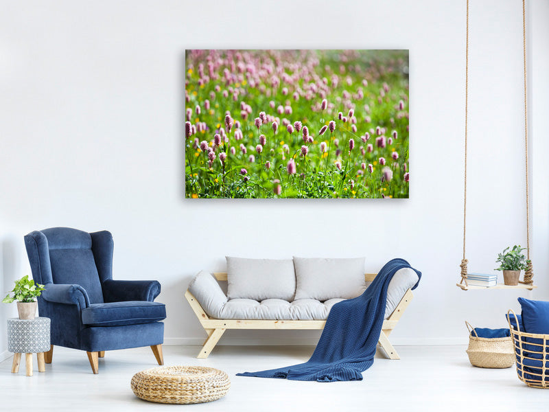 canvas-print-clover