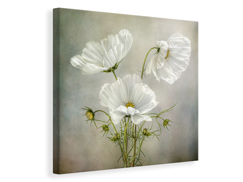 canvas-print-cosmos-charm