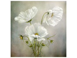 canvas-print-cosmos-charm