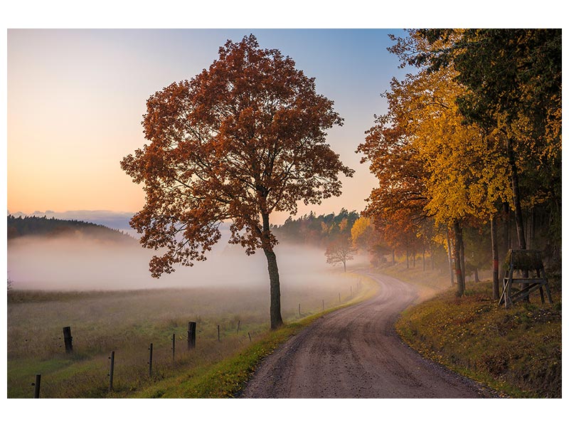 canvas-print-countryside-vibes-x