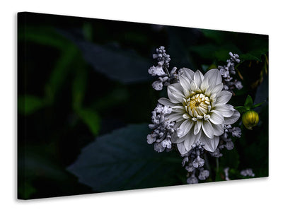 canvas-print-dahlia-flower