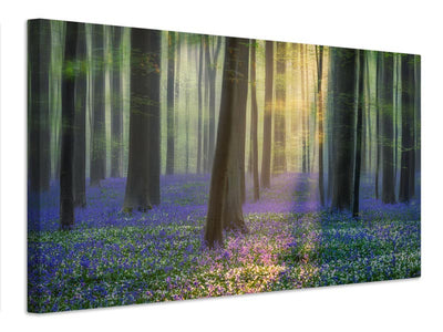 canvas-print-daydreaming-of-bluebells-xfv