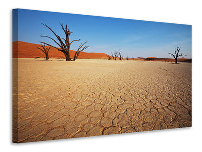 canvas-print-desert