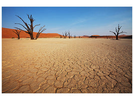 canvas-print-desert