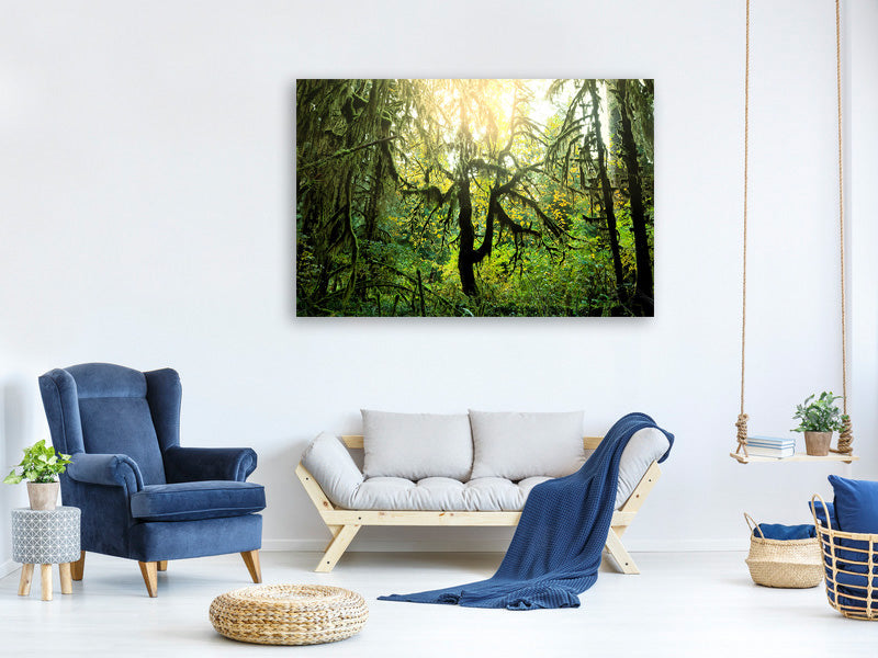 canvas-print-dreamy-forest