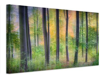 canvas-print-dreamy-x