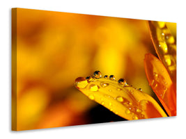 canvas-print-drops-close-up