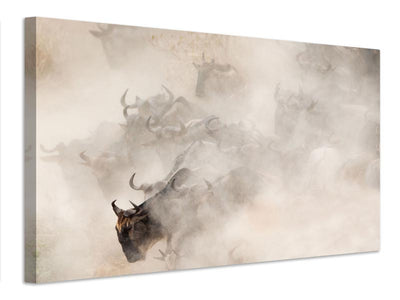 canvas-print-dust-x