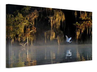 canvas-print-egret-x