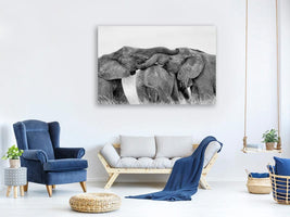 canvas-print-elephant-playing-x