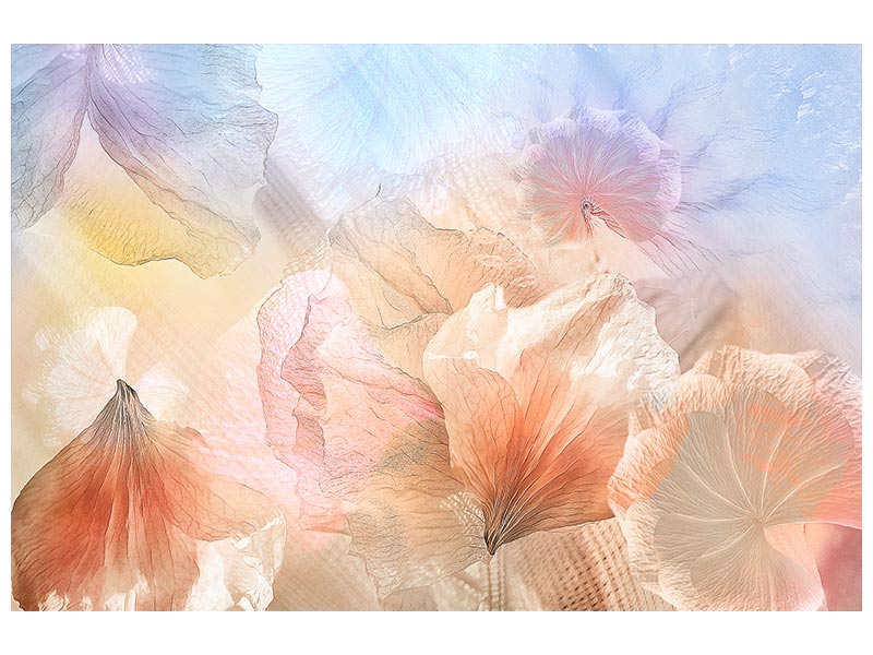 canvas-print-ethereal-flowers-x