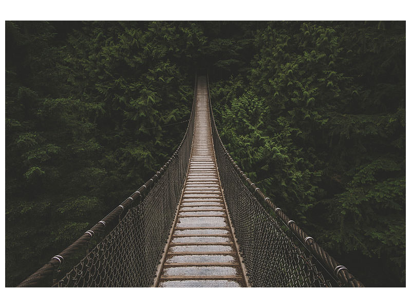 canvas-print-exciting-bridge