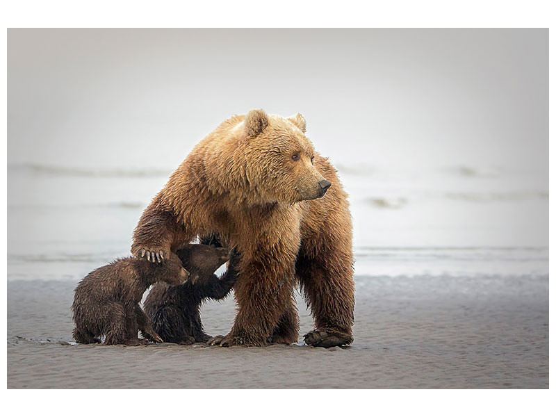 canvas-print-family-time