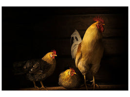 canvas-print-farm-animals