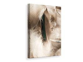 canvas-print-feathers